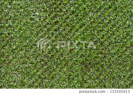 Artificial green grass vertical garden Artificial green grass vertical garden 133585913