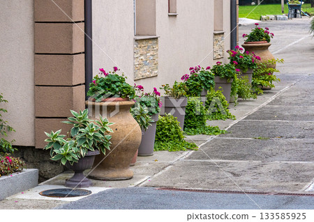 Plants on street garden 133585925