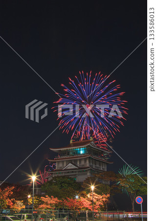 琵琶湖秋季煙火秀 琵琶湖文化中心 133586013