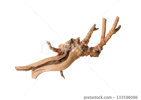 Old dry driftwood tree branch on an isolated white background 133586086