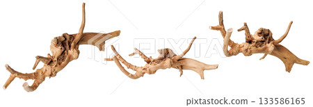 set old dry driftwood tree branch on an isolated white background 133586165
