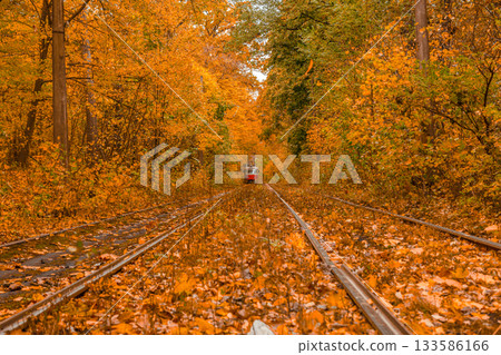 Autumn forest through which the tram travels, Kyiv and rails 133586166