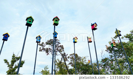 Wooden birdhouses and trees in summer park 133586292