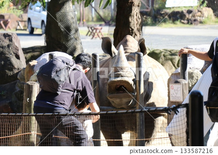 Adventure World Southern White Rhinoceros Feeding 133587216