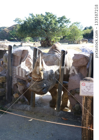 冒險世界南方白犀牛餵食 冒險世界南方白犀牛餵食 133587218