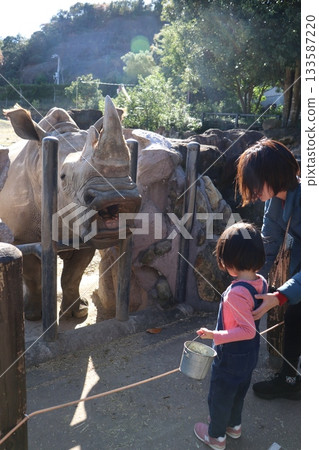 Adventure World Southern White Rhinoceros Feeding 133587220
