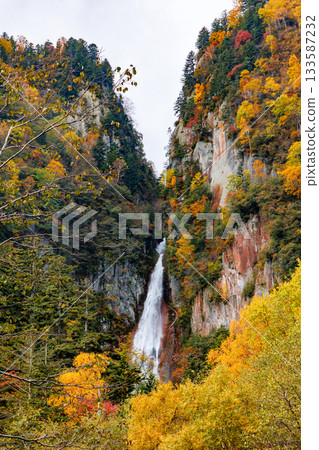 Sounkyo秋葉 133587232