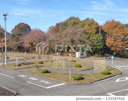 Image of a driving school 133587482