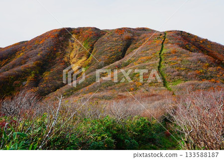 Mt. Nioji and autumn leaves from Mt. Nihongi Mt. Nioji and autumn leaves from Mt. Nihongi 133588187