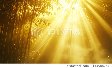 Golden light shining into the bamboo forest Golden light shining into the bamboo forest 133588237