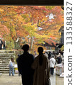 Couple with autumn leaves 133588327