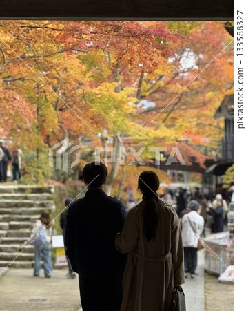 Couple with autumn leaves 133588327