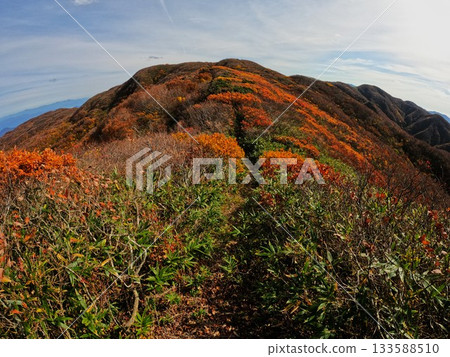 仁王嶽山頂附近的秋葉 133588510