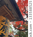 Autumn leaves of Eikenji 133588525