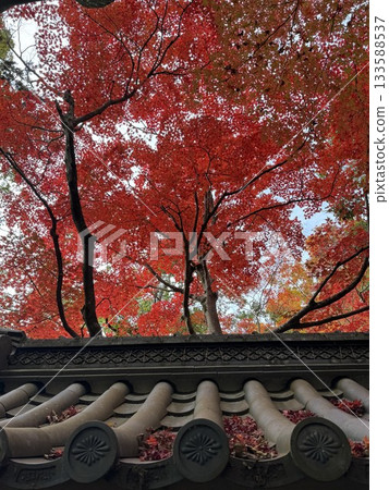 Eikenji秋葉 133588537