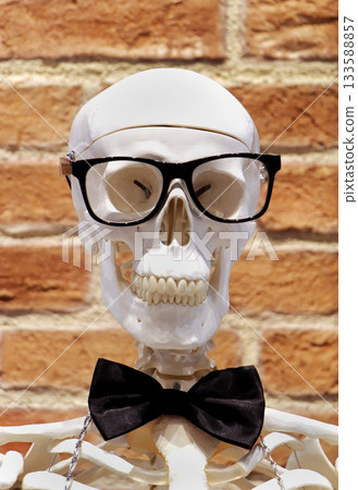 Skeleton fashion 133588857