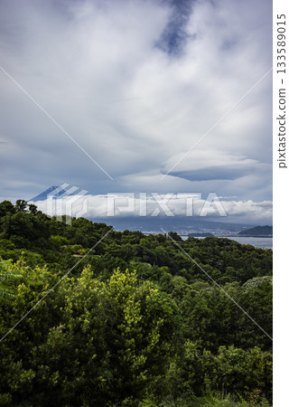 Mount Fuji seen from the Nishiura district of Numazu city in early summer 133589015