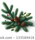 Christmas tree branch with cones isolated over white. New year element design 133589418