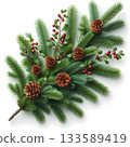Christmas tree branch with cones isolated over white. New year element design 133589419