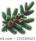 Christmas tree branch with cones isolated over white. New year element design 133589421