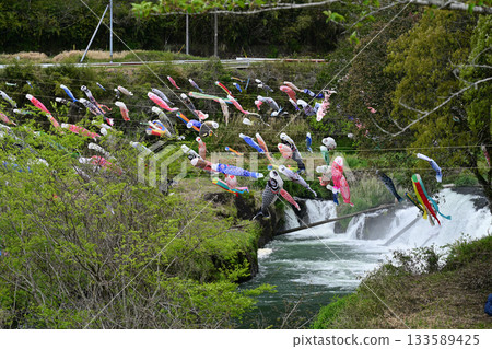 Carp streamers at Yunoo Falls Carp streamers at Yunoo Falls 133589425