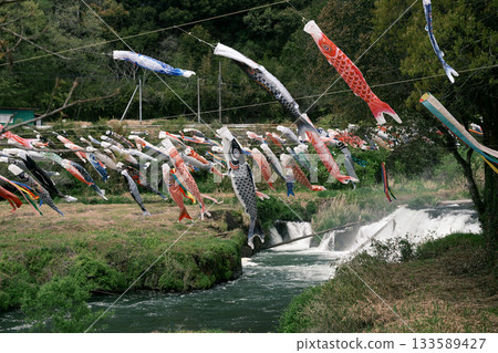 Many carp streamers swimming over Yunoo Falls 133589427