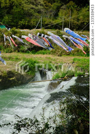 Carp streamers swimming in the river Carp streamers swimming in the river 133589433
