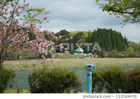 可愛的加拉帕公園 可愛的加拉帕公園 133589438
