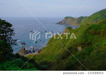淡島到穗時崎的海岸線 133589453