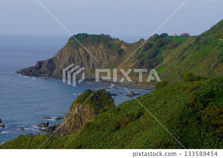 淡島的穗出崎岬 133589454