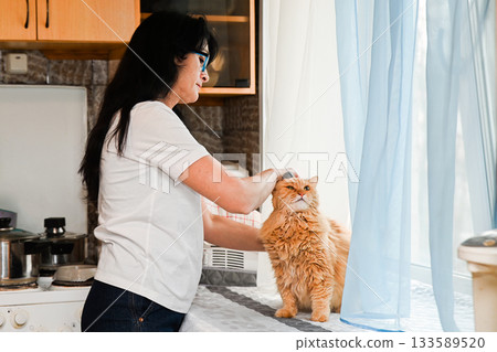 20 year old cat tolerates being brushed by a woman 20 year old cat tolerates being brushed by a woman 133589520