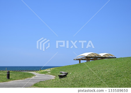 在陽光明媚的日子裡，江口濱海濱公園的景色 133589650