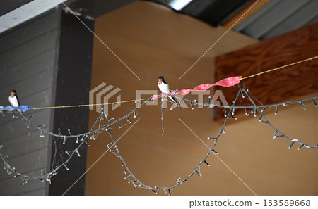 Cute swallow taking a rest 133589668