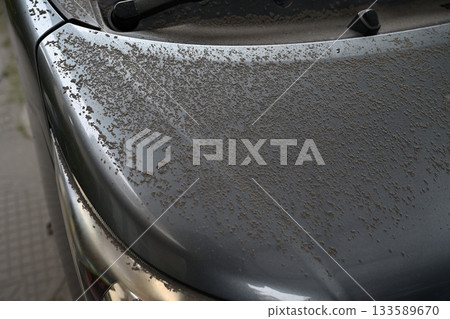 Volcanic ash piled up on the hood Volcanic ash piled up on the hood 133589670