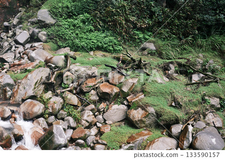 Rough rocks and driftwood rolling around Rough rocks and driftwood rolling around 133590157