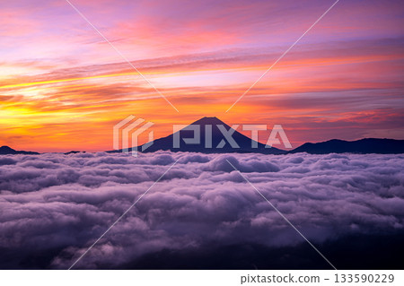夏日富士山漂浮在雲海之中，清晨的陽光從櫛山森林公路灑下。 133590229