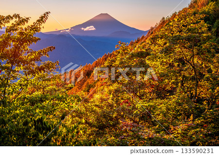 Autumn leaves and Mt. Fuji from the Kushigatakeyama forest road in the morning Autumn leaves and Mt. Fuji from the Kushigatakeyama forest road in the morning 133590231