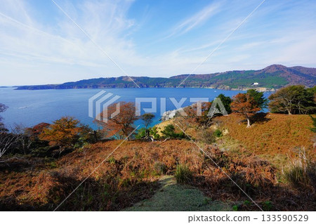 金華山和鹿角半島的秋葉 133590529