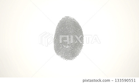 fingerprint 133590551