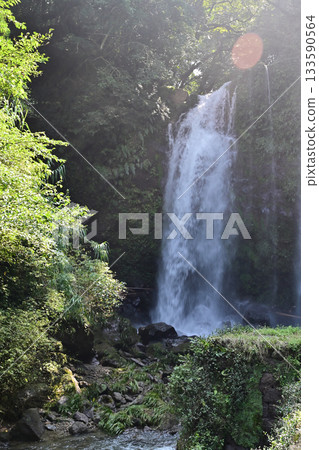 Beautiful Takinoshita Falls 133590564