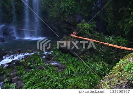 Splash from Takinoshita Falls 133590567
