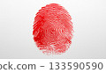 fingerprint 133590590