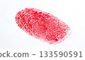 fingerprint 133590591