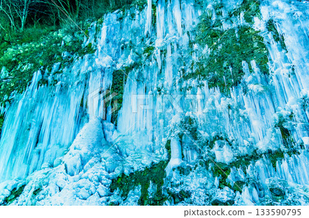 Nagano Shirakawa Icicles: Illuminated ice curtain 133590795