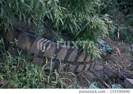 Caterpillar in the grass Caterpillar in the grass 133590890