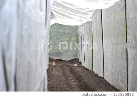 簡易防蟲紗窗 簡易防蟲紗窗 133590898