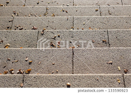 Stairway stone steps 133590923