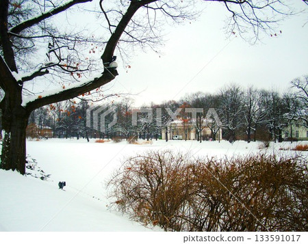 Lazienki Park in Winter, Warsaw 3 Lazienki Park in Winter, Warsaw 3 133591017