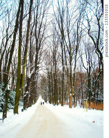 Lazienki Park in Winter, Warsaw 4 133591018