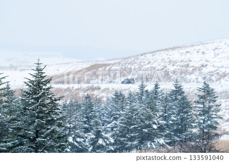 長野縣，隆冬時節的霧峰 133591040